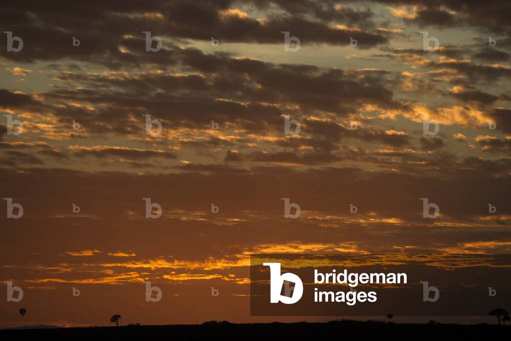 Sun rising over savanna, Masai Mara Game Reserve, Kenya, Africa (photo)