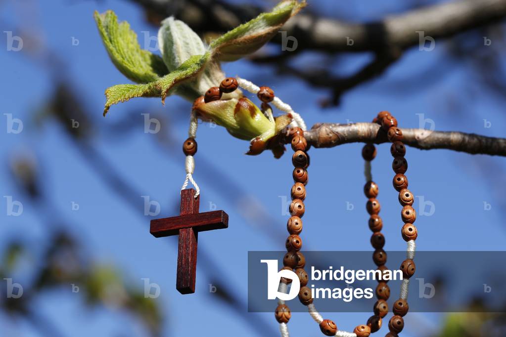 Rosary and bud symbol of life that overcomes obstacles, France, 2020 (photo)