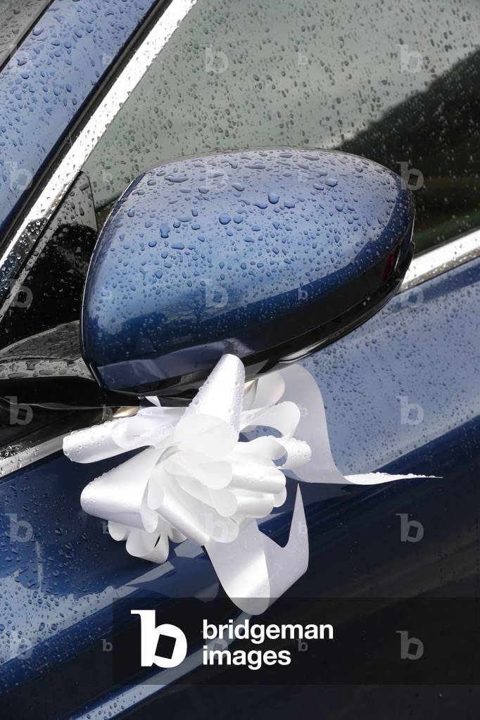 Wedding Car Decorated, France (photo)