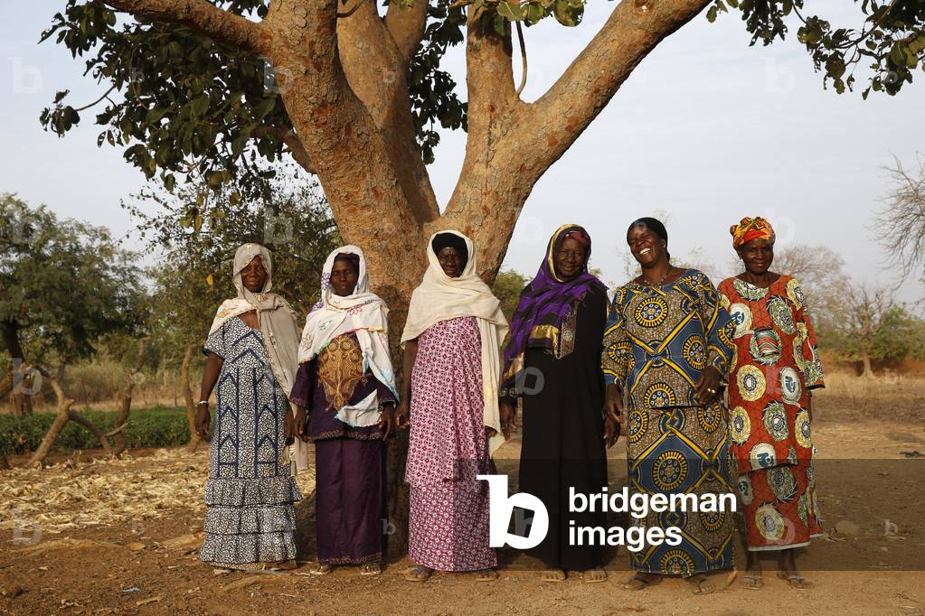 UBTEC NGO in a village near Ouahigouya, Burkina Faso, Members of a microfinance cooperative, Africa (photo)
