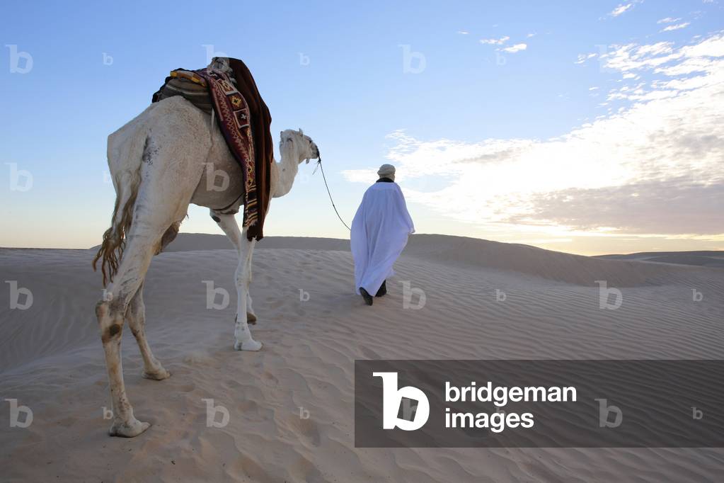 Beduin walking in the Sahara with a mehari dromedary, Douz, Tunisie