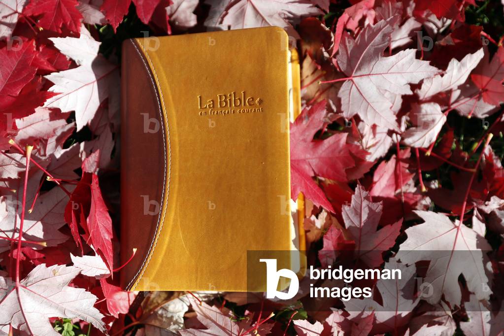 Bible with dry fallen autumn red leaves. Faith and spirituality. France.