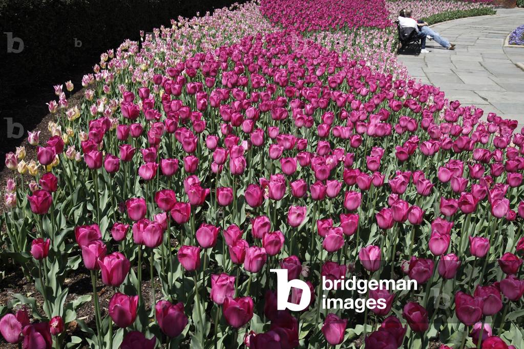 Botanical garden in Central Park, New York, Etats-Unis