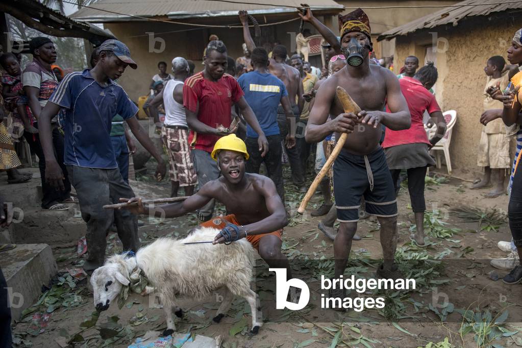 Voodoo funeral participants surrounding a sheep to be sacrified near Kara, Togo.