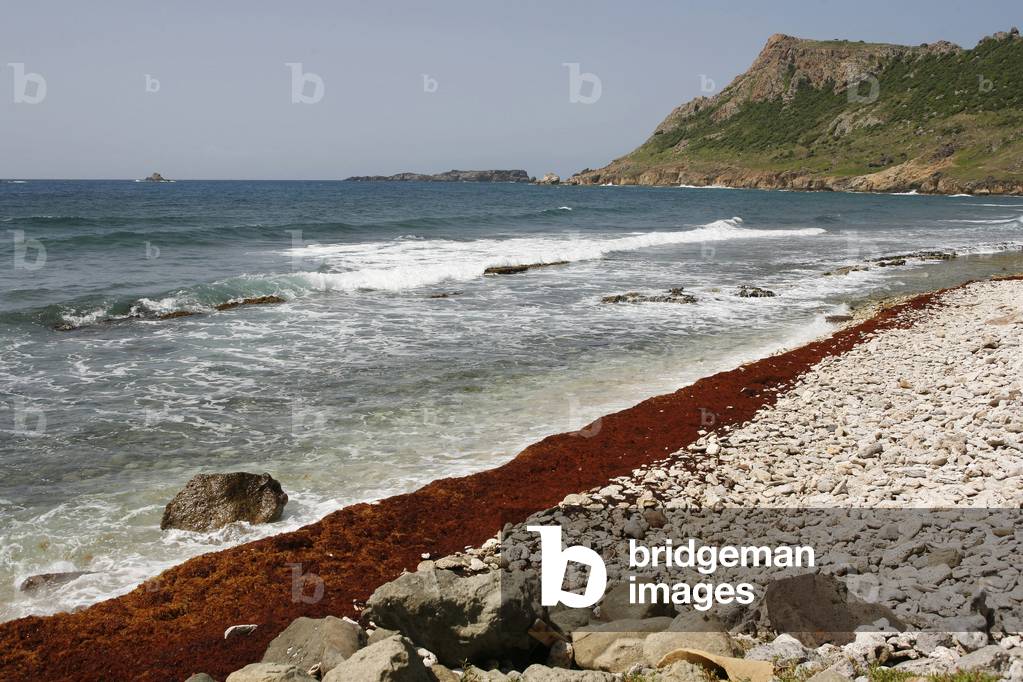 Saint Barth island Saint Barthelemy France