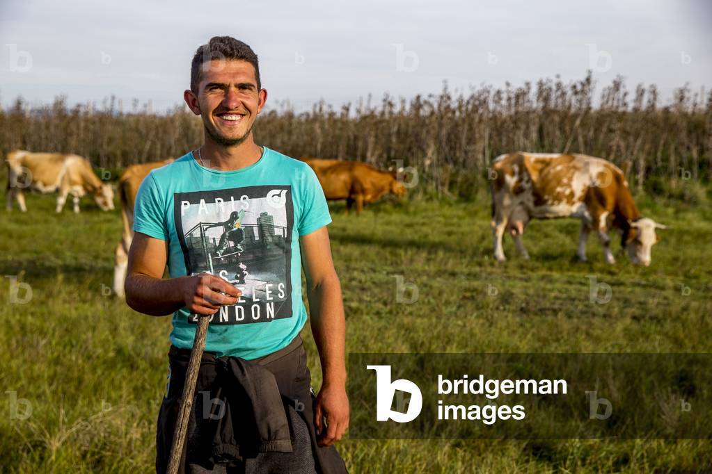 Livestock farmer with his cattle in Vrell village, Kosovo, Received a loan from KRK microfinance (photo)
