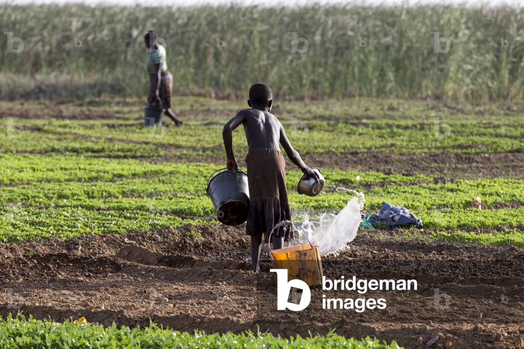 Girl watering a field in Karsome, Togo (photo)