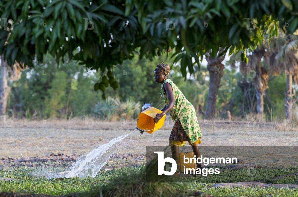 Member of a women's cooperative watering a field in Karsome, Togo (photo)