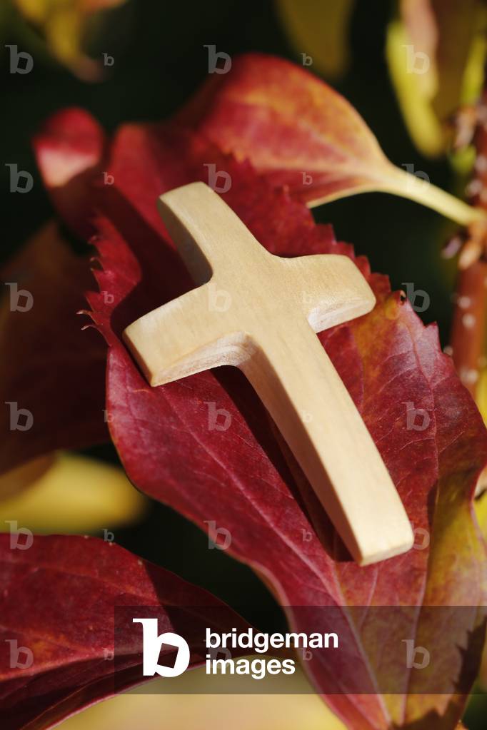 Wooden christian coss with autum leaves.  France.