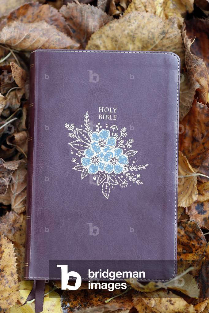 Holy bible on dry fallen autumn leaves. Faith and spirituality.  France.