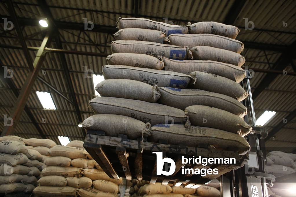 Cocoa warehouse at Abidjan port facilities, Ivory Coast, Africa (photo)