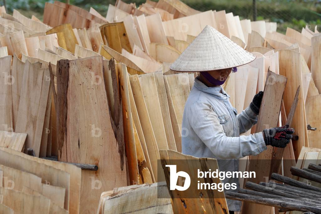 Woman working in wood factory, Bac Son, Vietnam (photo)