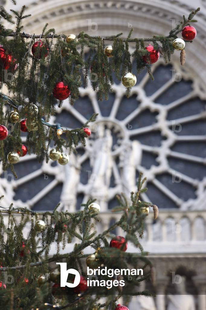 Christmas tree outside Notre-Dame-De-Paris cathedral, Paris, France