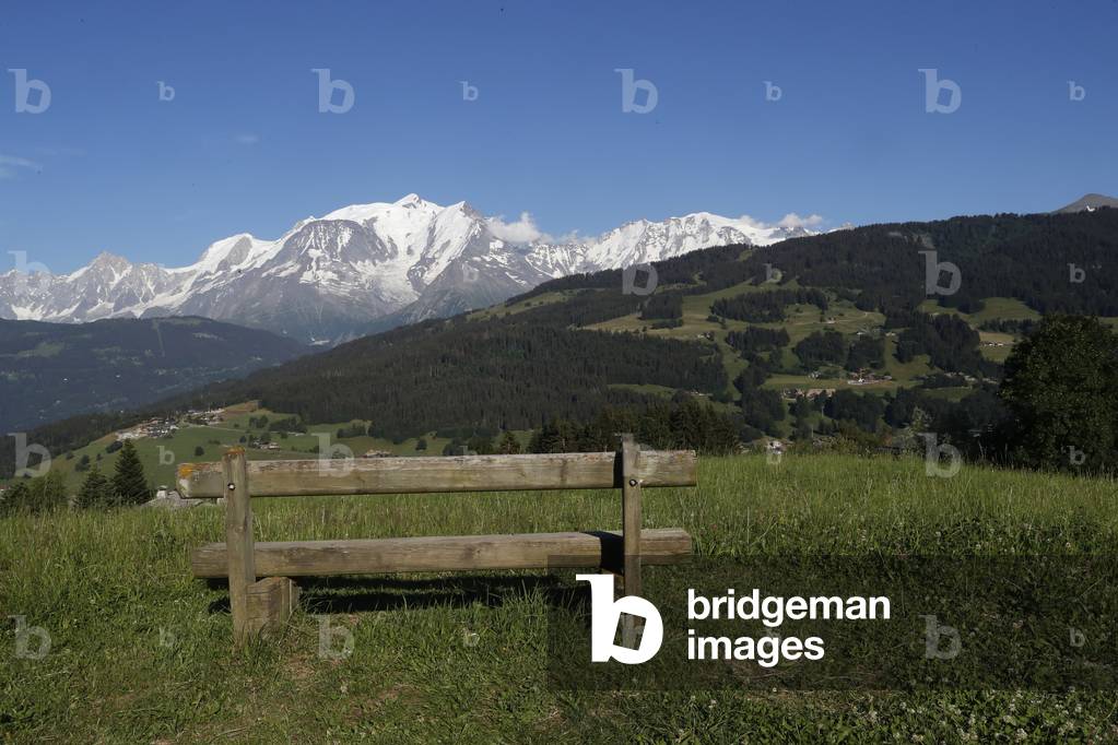 Wooden bench facing Mont Blanc massif. French Alps.   France.