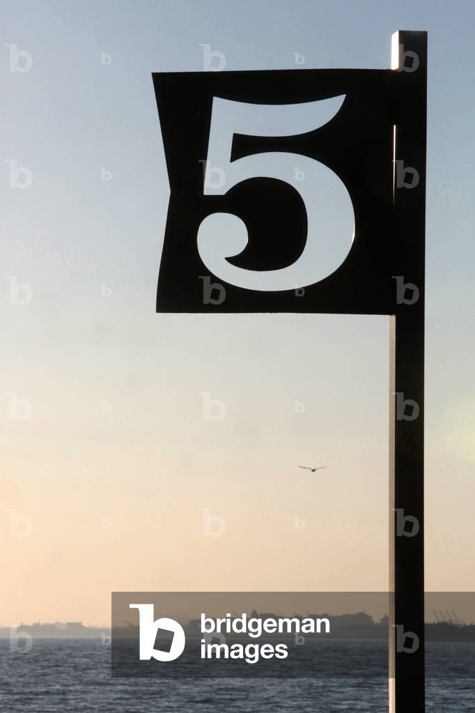 Flag 