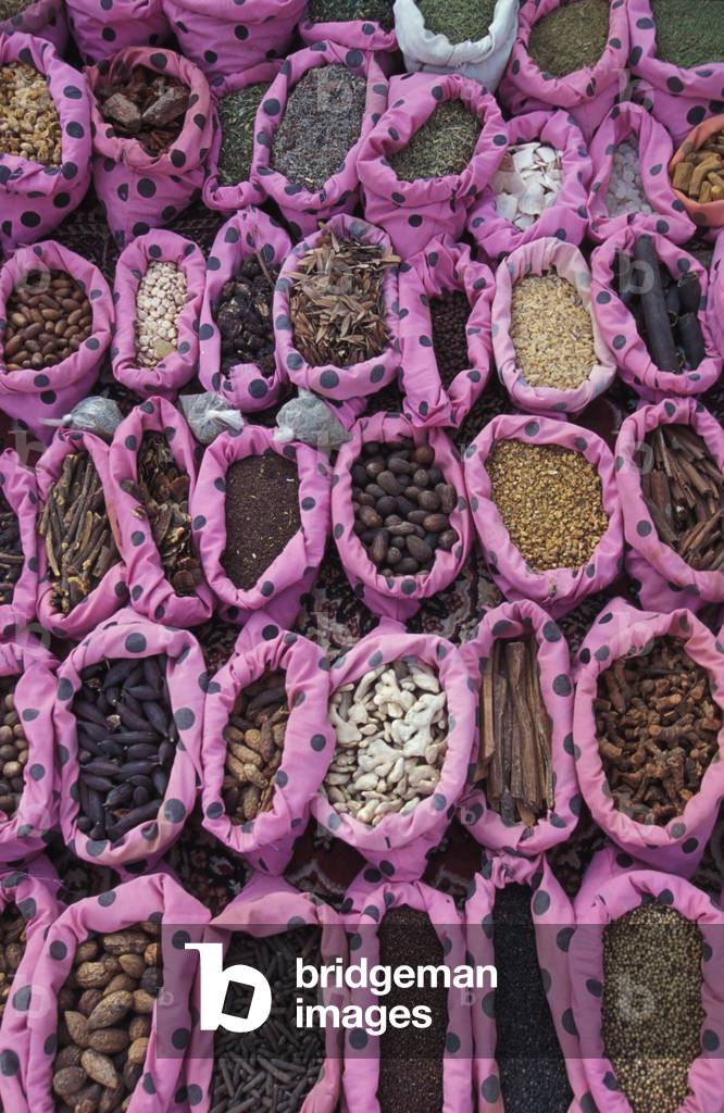 Traditional medicine Douz Tunisie
