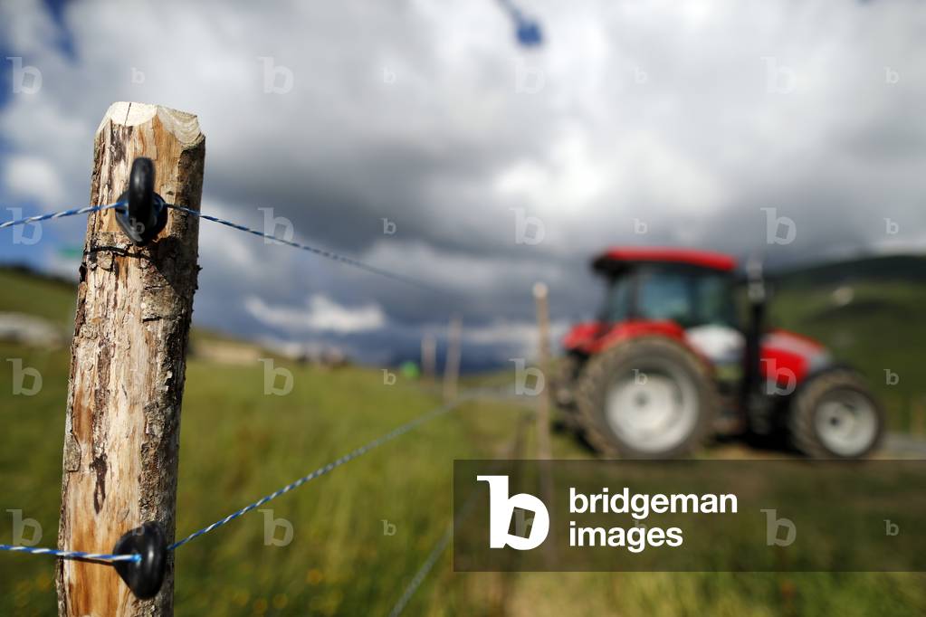 Mountain farm in the french Alps.  France.