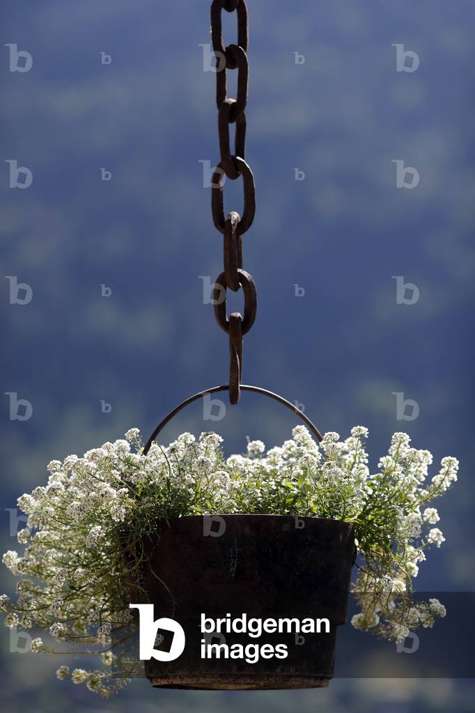Traditional farm in the French Alps. Flowers in summer.  France.