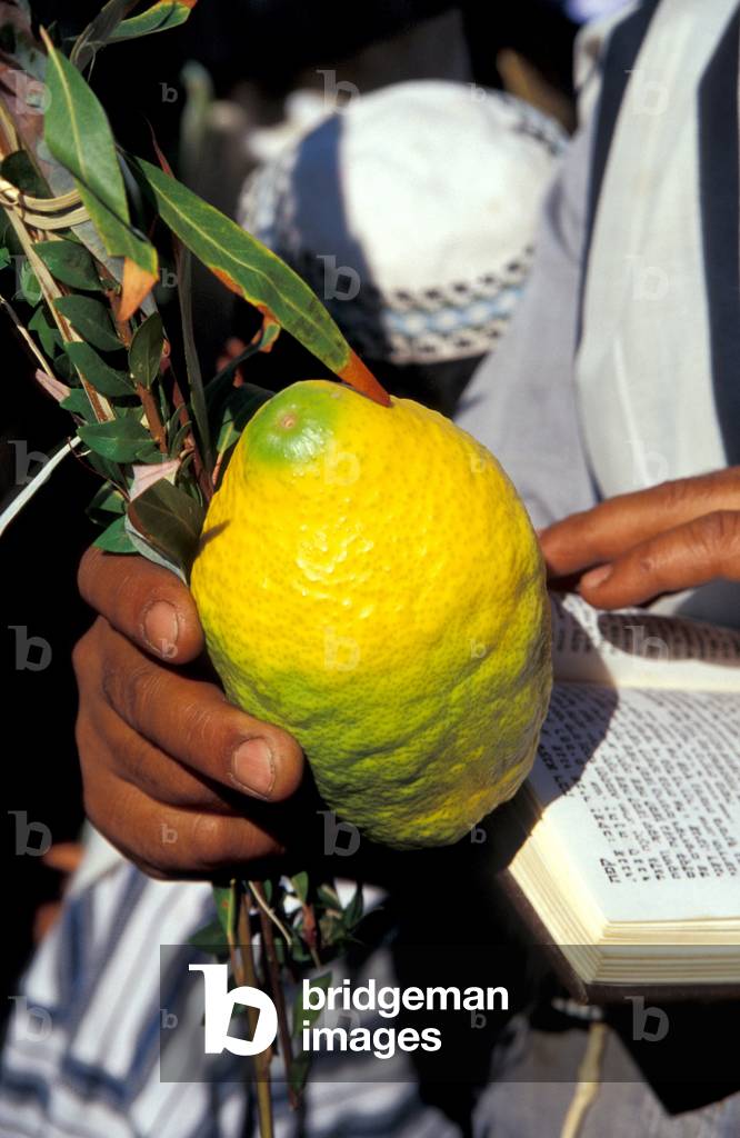 Israel, Jerusalem Old CityThe Priestly Blessing ceremony by the Western Wall at Succot, a Prayer with the Four Species, Jerusalem, Israel