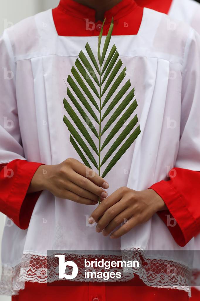 Palm sunday mass, Altar boy with a palm branch, Hoi An Cathedral, Vietnam, 2019 (photo)
