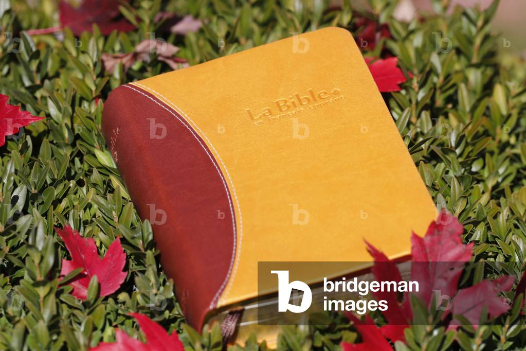 Bible with dry fallen autumn red leaves. Faith and spirituality. France.