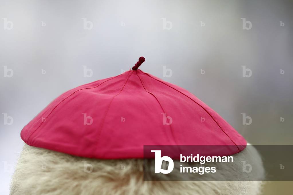 Catholic church during covid-19 epidemic.  Celebration of the mass.   Bishop.  Sanctuary of La Benite Fontaine. France.