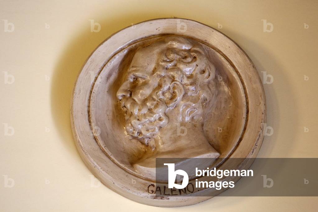 Medallion depicting Doctor Galien in the pharmacy at the Alcazar, Jerez de la Frontera, Jerez de la Frontera, Spain