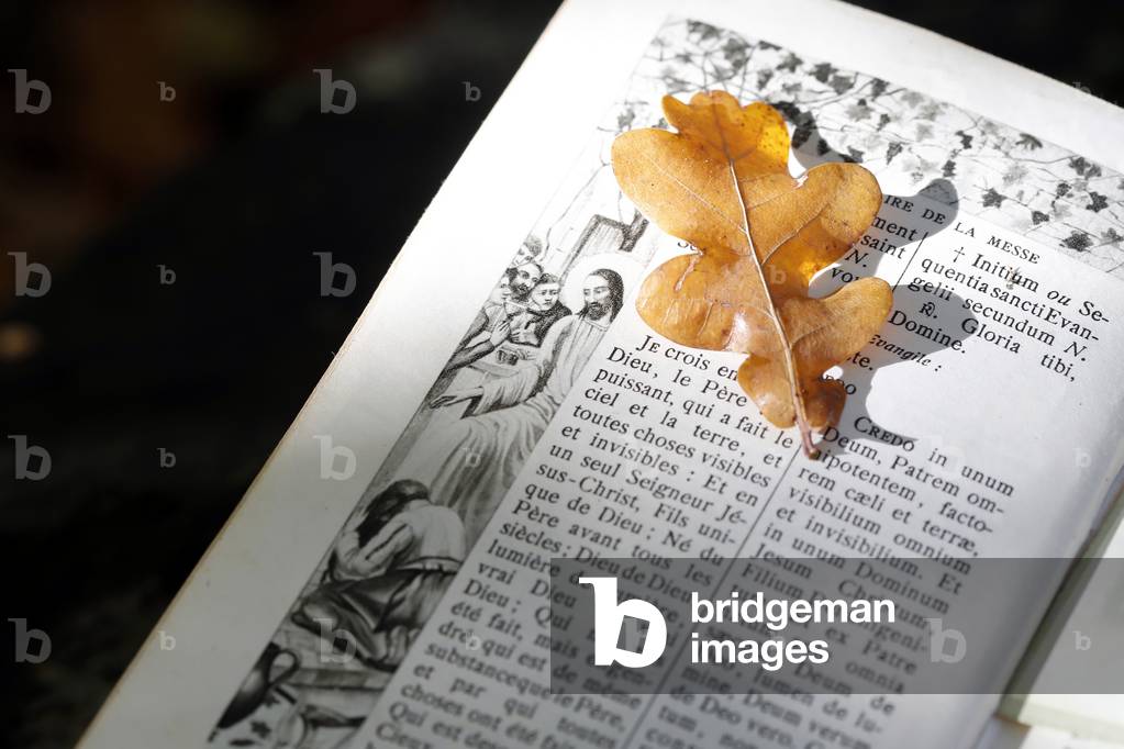Missel with dry fallen autumn leaf. Faith and spirituality. France.