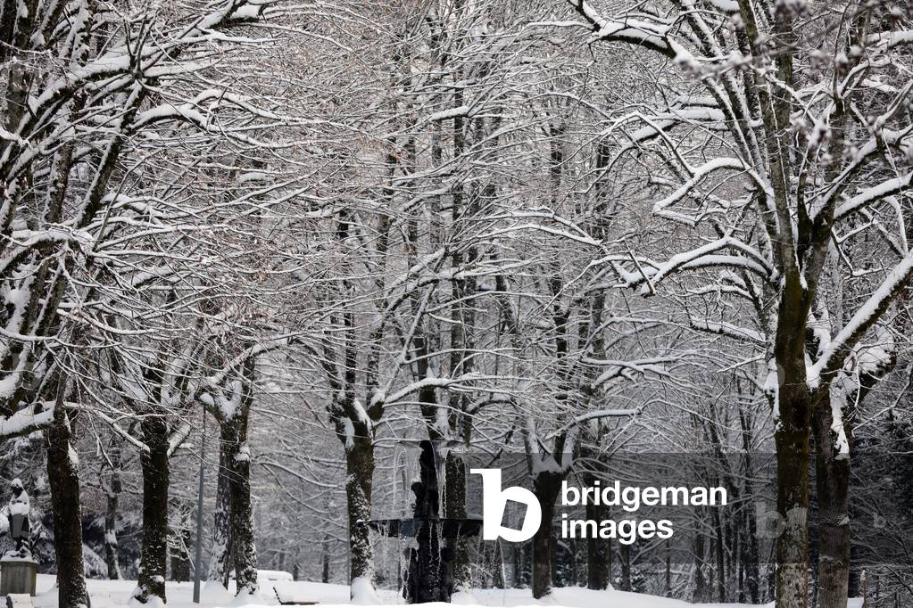 Le Fayet Parc Thermal, Trees under snow, France (photo)