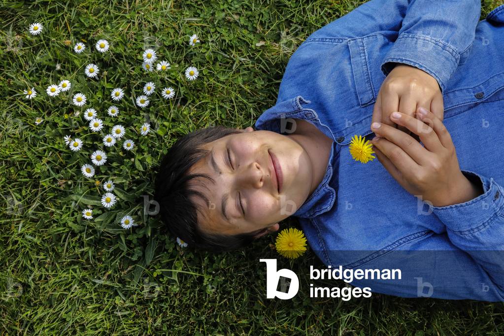 Boy lying in a flower garden. Eure, France.