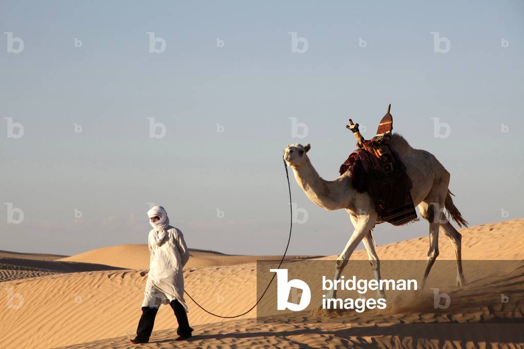 Camel driver in the Sahara desert, Douz, Tunisie