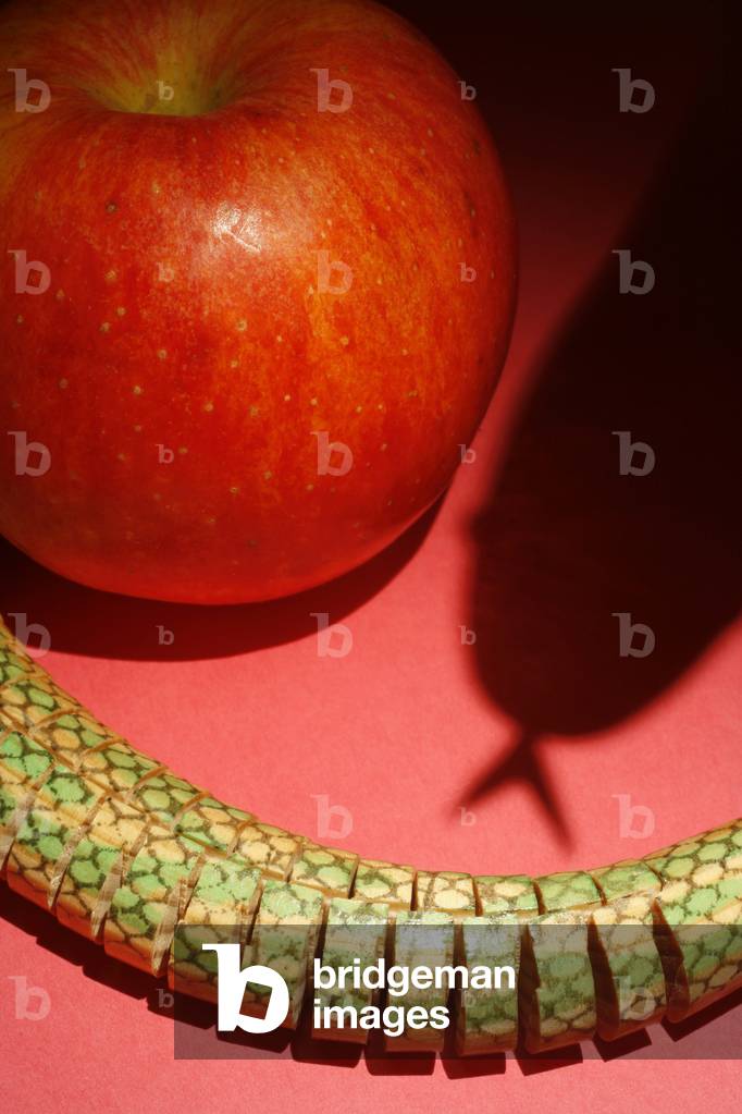 Temptation, Paris, France