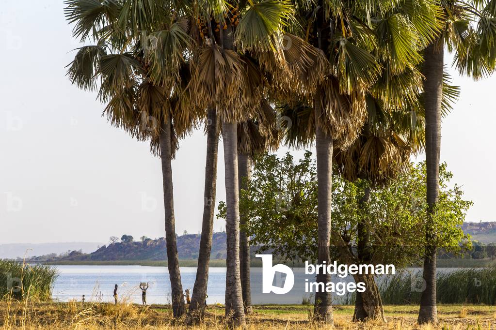 Trees and lake in Karsome, Togo (photo)