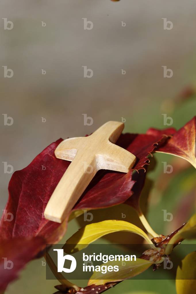 Wooden christian coss with autum leaves.  France.