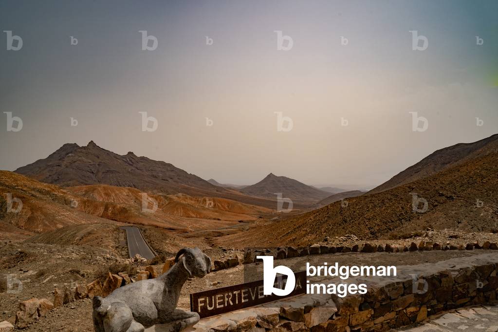 Canarias Islands, Fuerteventura landscape, Spain (photo)