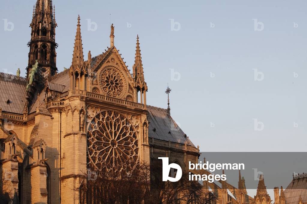 Notre Dame Cathedral ; South facade ; Rose window Paris France