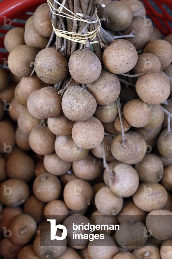 Dimocarpus longan, commonly known as the longan, Fruits for sale at market, Vietnam (photo)