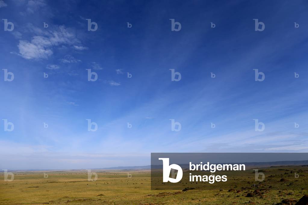 The Masai Mara National Reserve, Kenya, 2019 (photo)