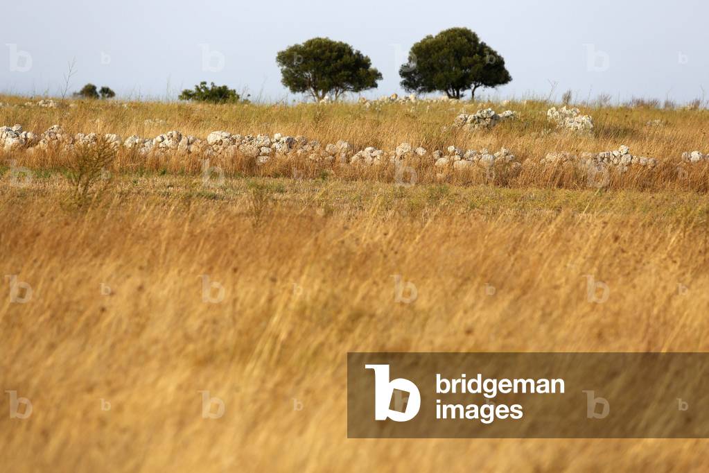 Landscape in Puglia, Porto Badisco, Italie