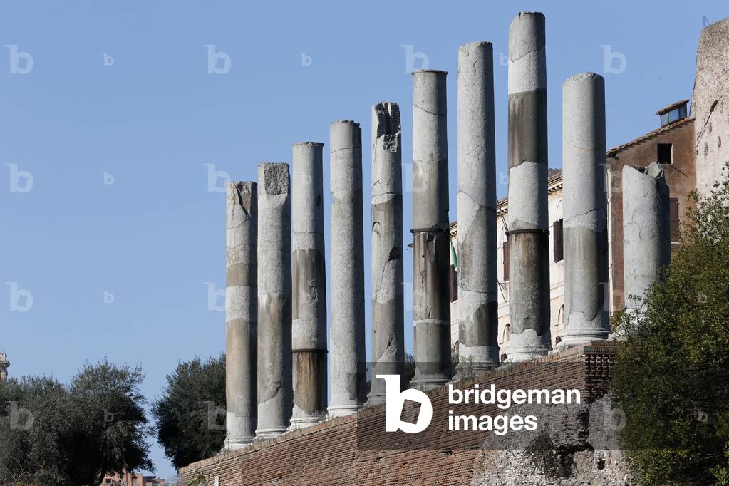 Columns at Via Sacra, Roman Forum, Roma, Italy