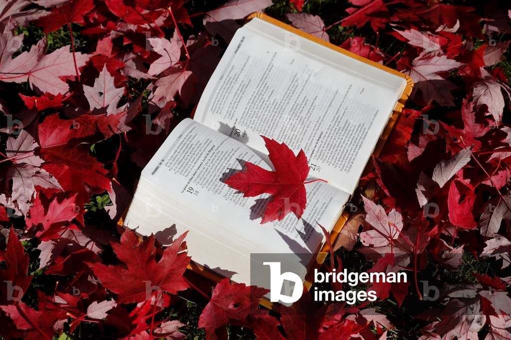 Open bible on a bench with  dry fallen autumn red leaves. Faith and spirituality. France.