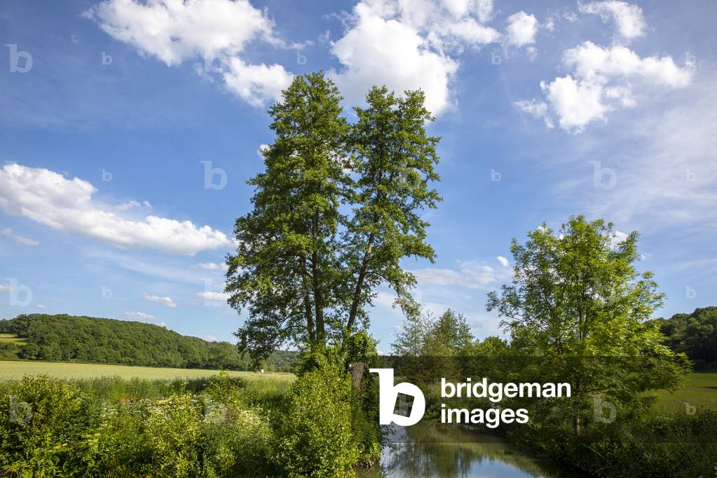 Risle valley, Eure, France