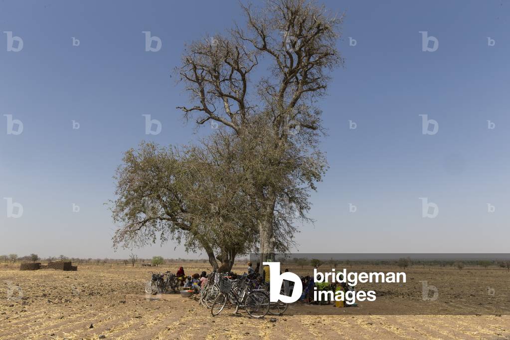 Members of a women's microfinance cooperative reimbursing their loans under a tree in Northern Togo (photo)