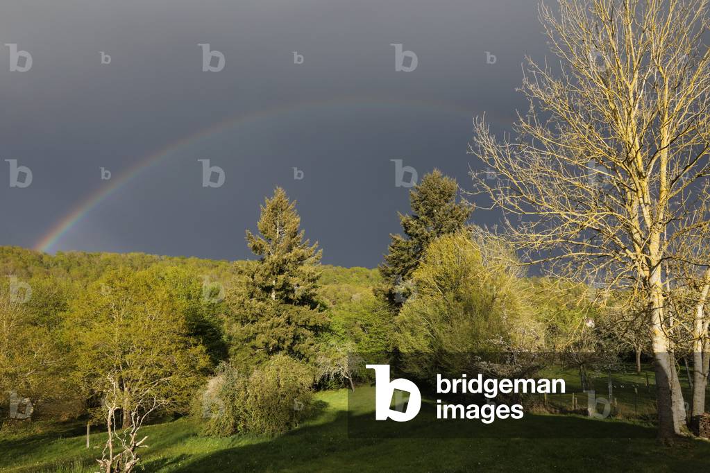 Rainbow over a garden and forest in Eure, France