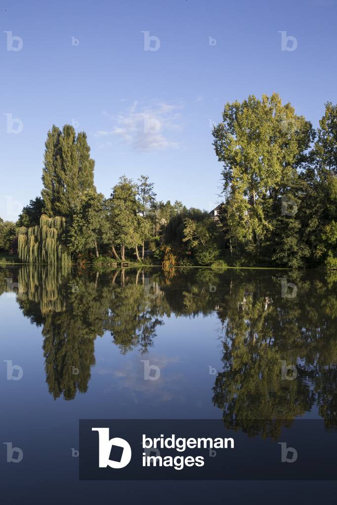 Sarthe river in Solesme, France (photo)