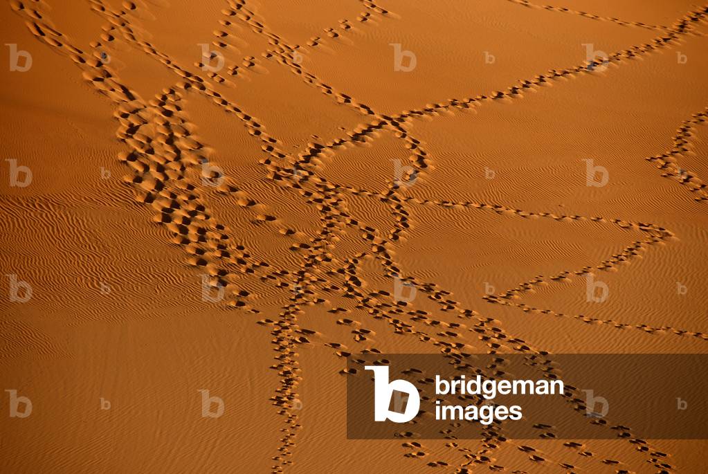 Tracks in the desert sand, SEBHA, LIBYE