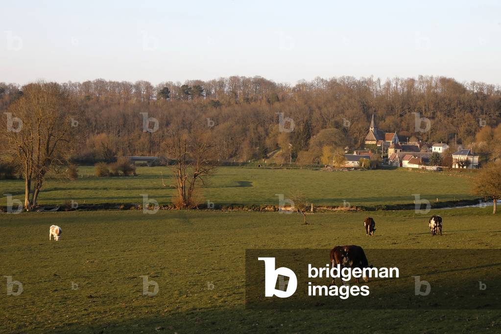 Champignolles, Eure, France.