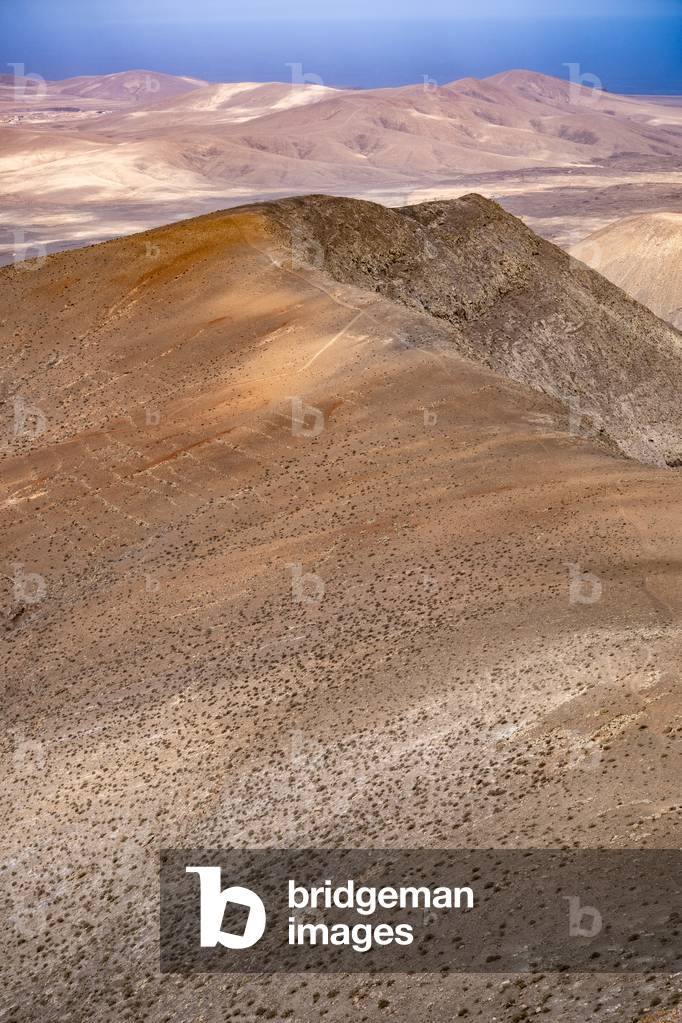 Canarias Islands, Fuerteventura landscape, Spain (photo)