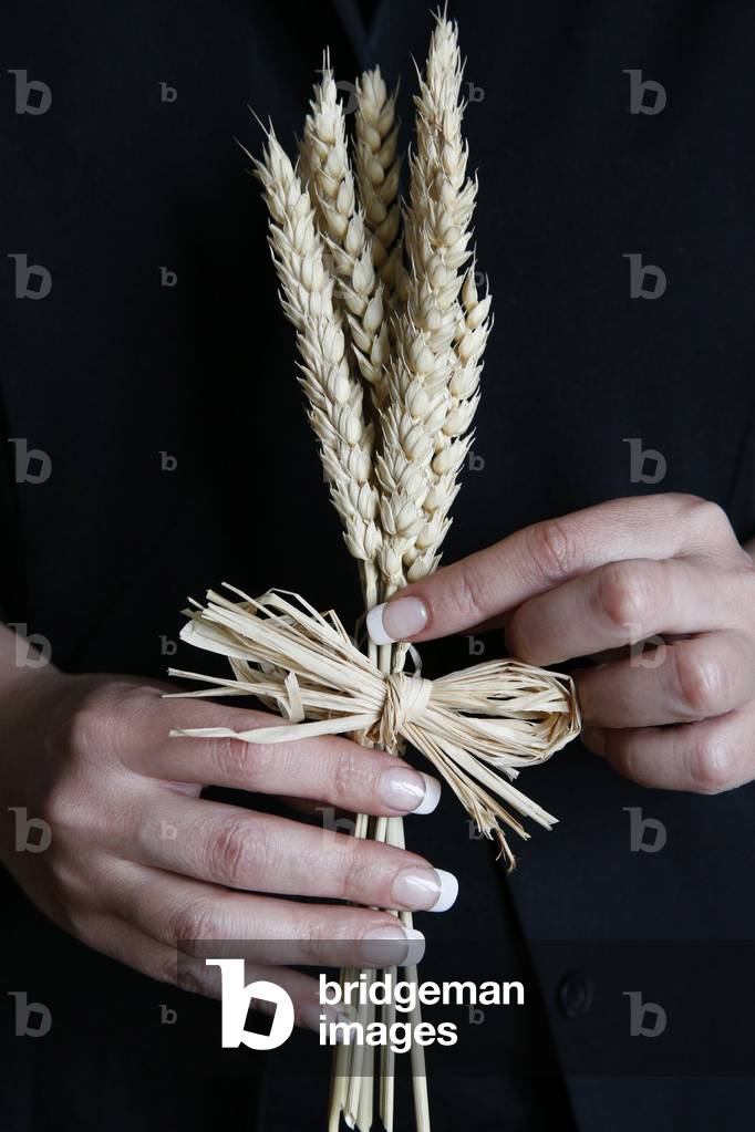 Wheat in hands, Paris, France