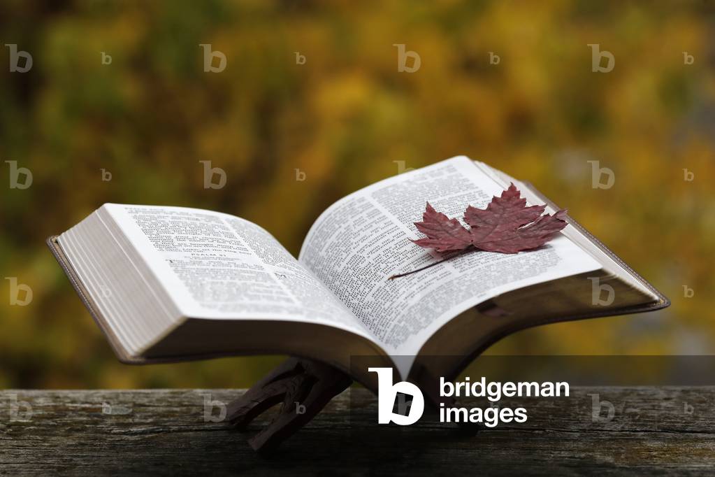 Open bible on a bench with  dry fallen autumn leaf. Faith and spirituality.  France.